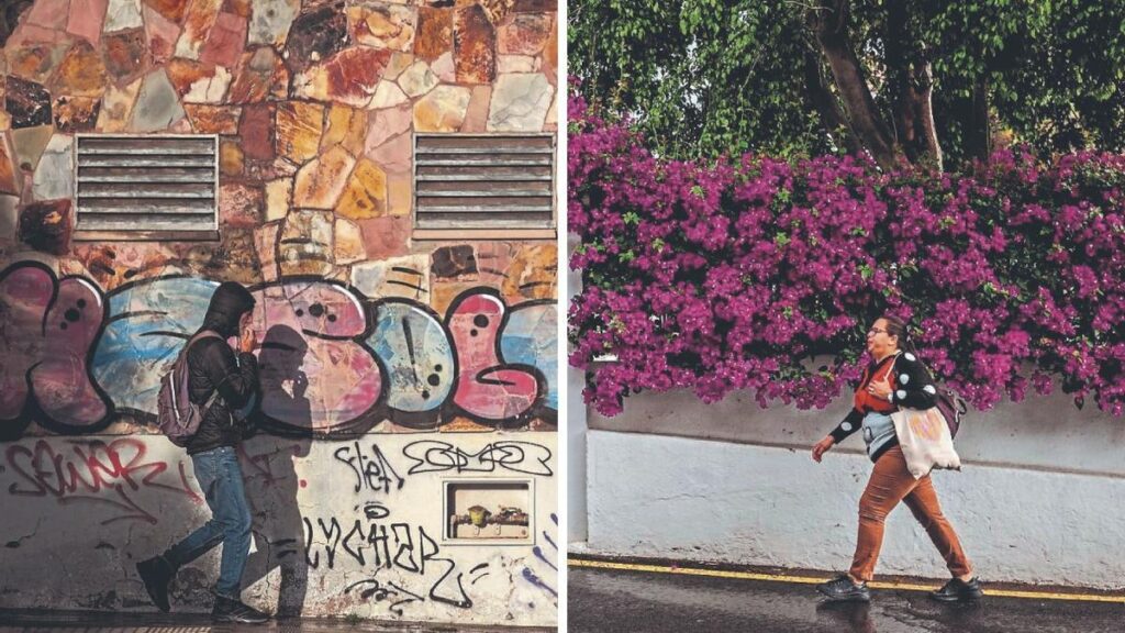 einkommensunterschiede santa cruz teneriffa las mimosas anaza