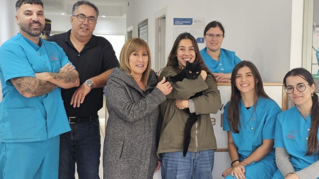 kater oreo nach sieben jahren wieder vereint teneriffa