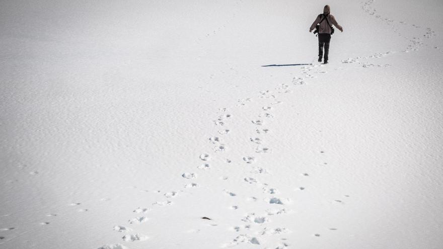 teide schnee zugangsregeln cabildo operation dezember 2025