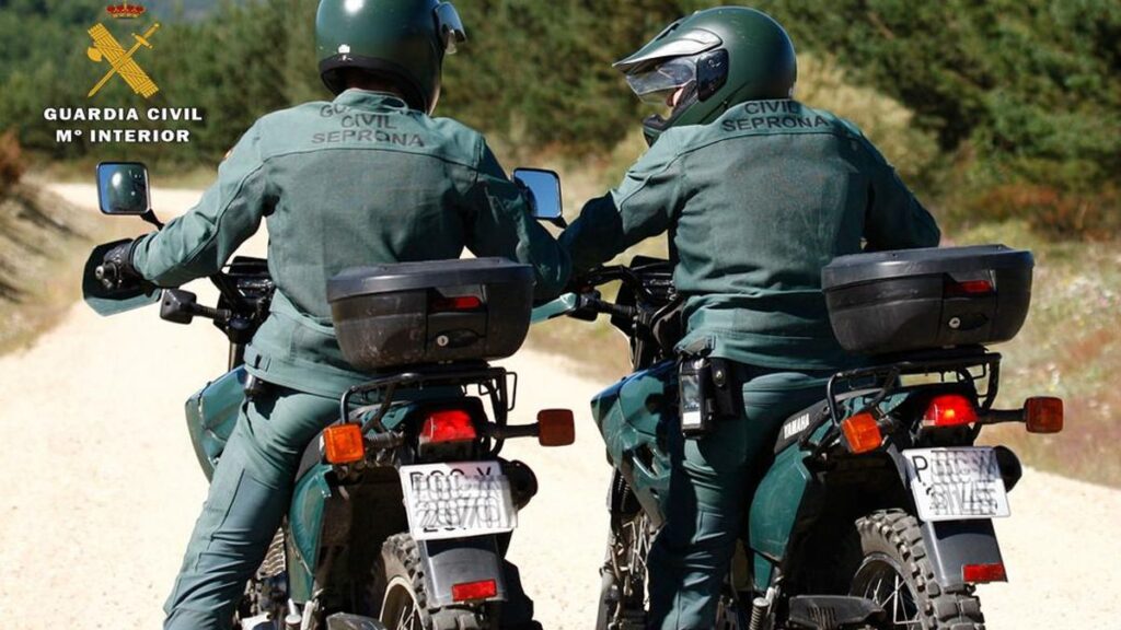 tierquaelerei vecindario gran canaria verhaftung