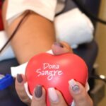 blutknappheit kanaren debatte anreize blutspender