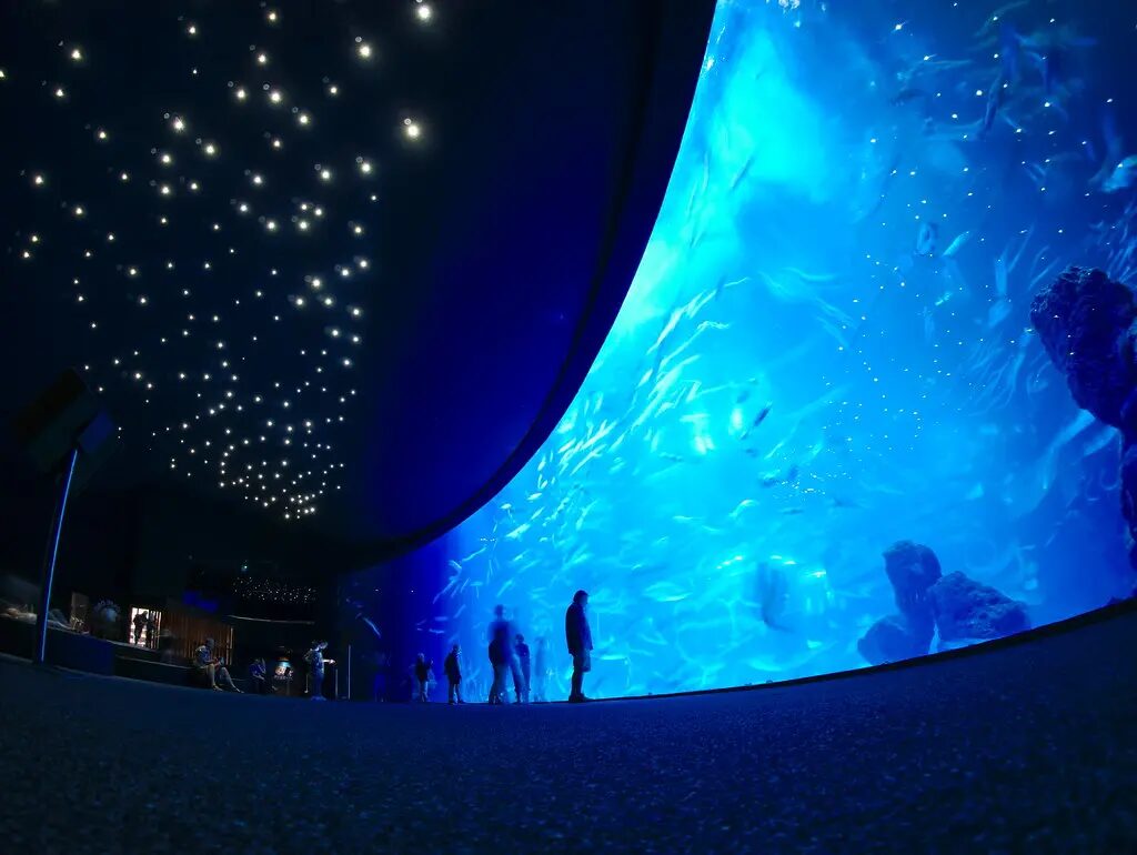 was man auf Gran Canaria sehen sollte