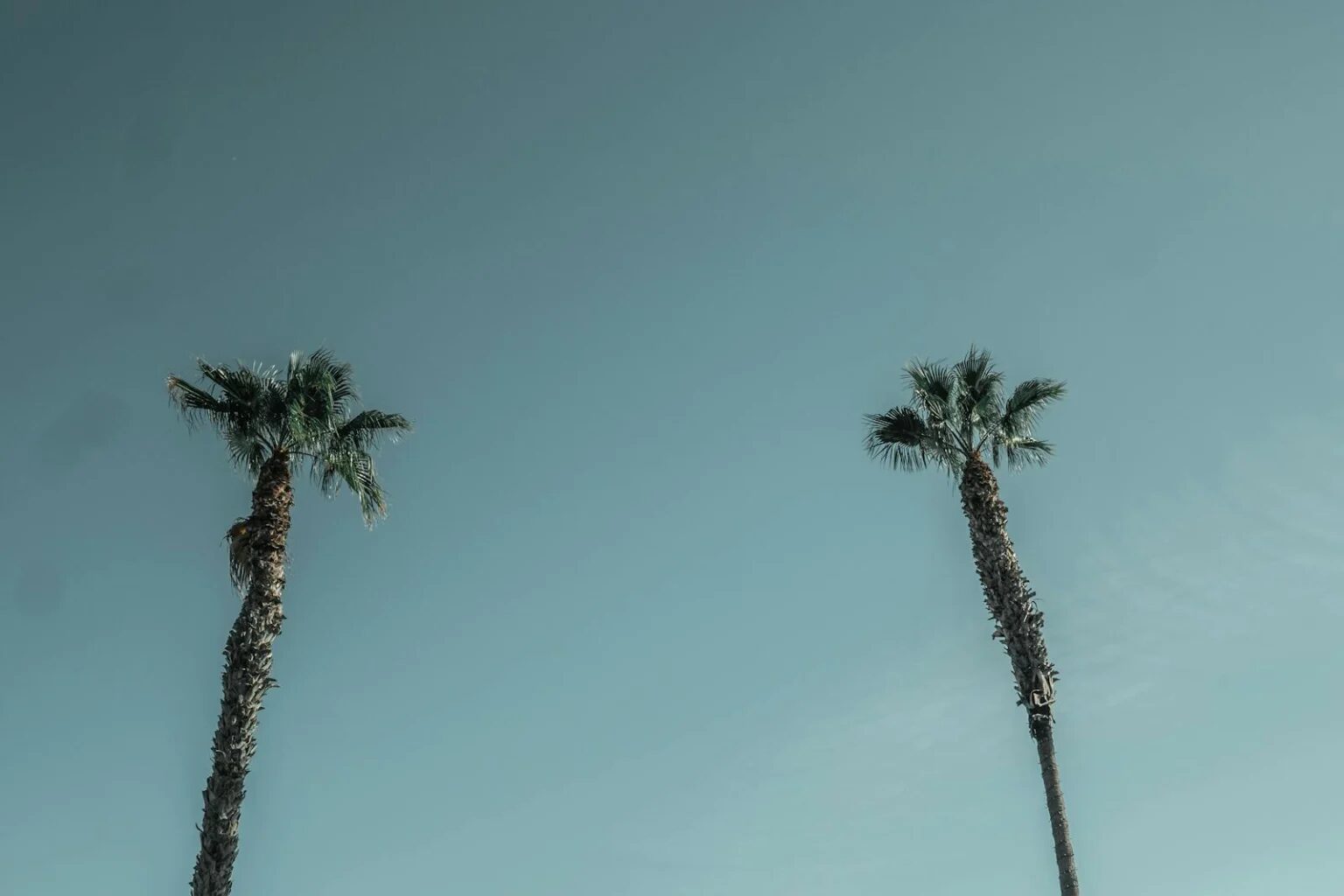 Welche Kanarische Insel wählen