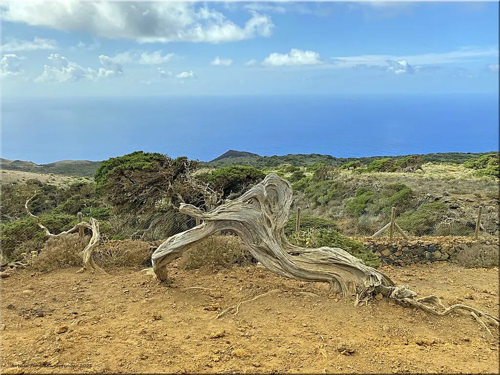 Welche Kanarische Insel wählen