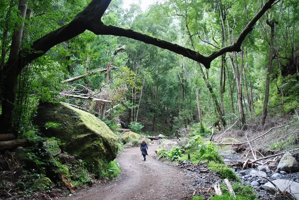 La Palma Sehenswürdigkeiten