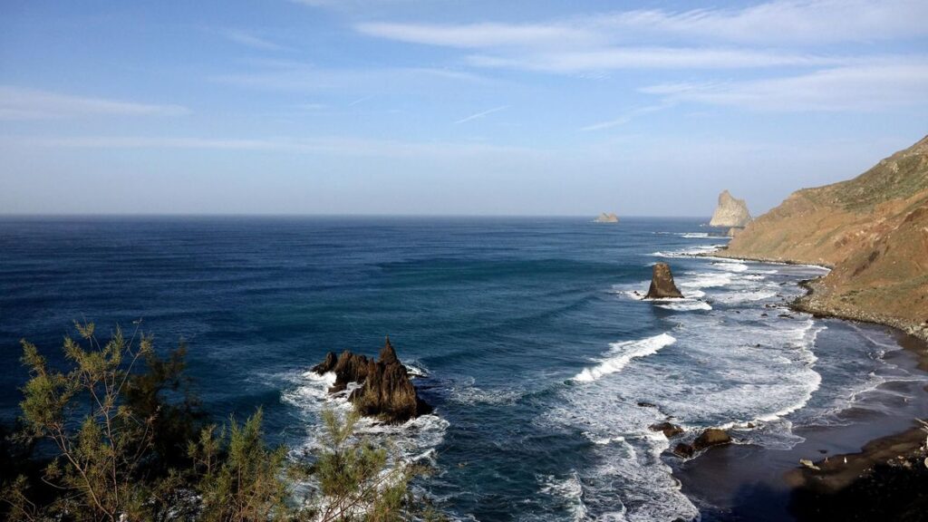leichenfund benijo teneriffa polizei hund