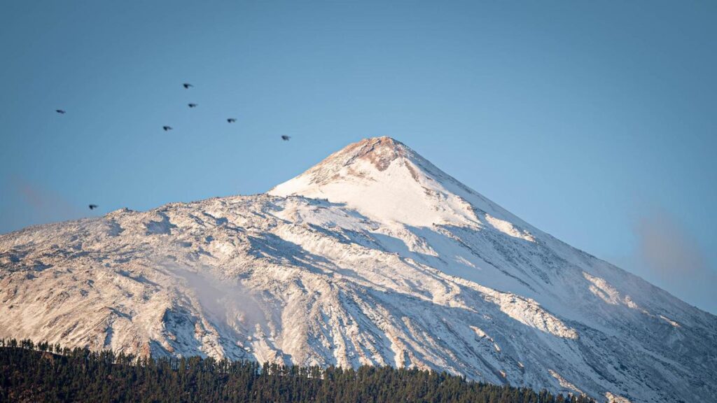teneriffa erdbeben vulkan aktivitaet keine gefahr