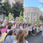 aerztestreik kanarische inseln 2026