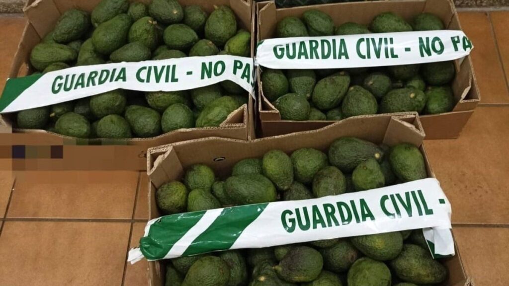 avocado diebstahl teneriffa guardia civil ermittlungen