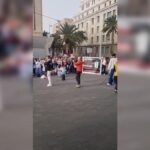 protest tierheim ravelo vertrag adepac teneriffa
