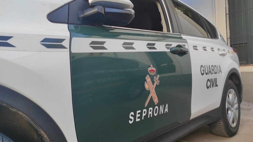 reitlehrer tierquaelerei pferd gran canaria festnahme