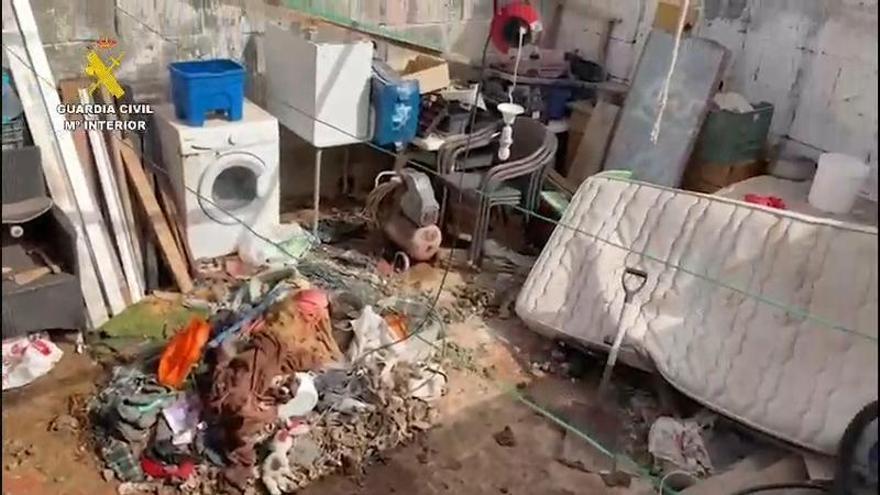 hundangriff arrecife lanzarote presa canario untersuchung