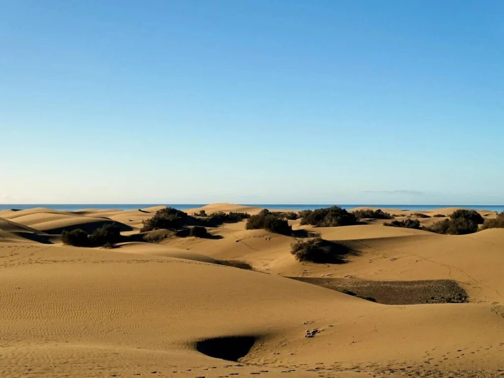 Maspalomas