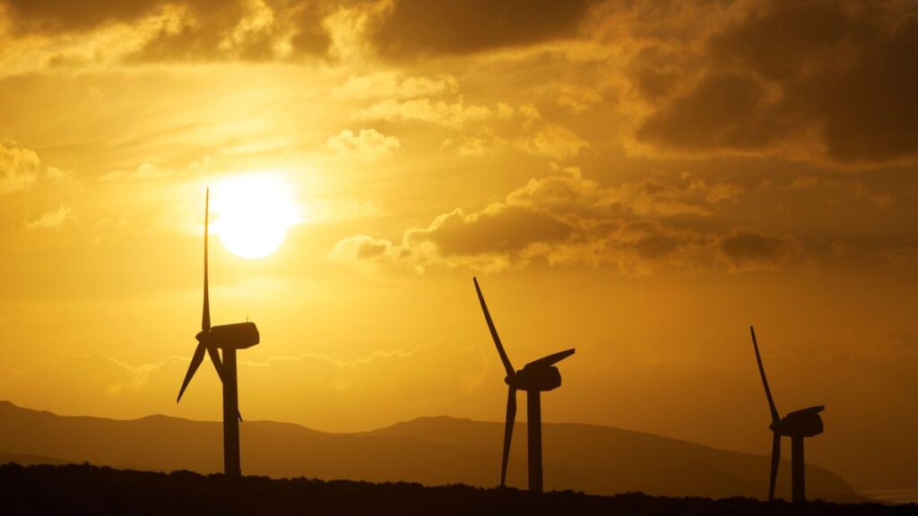 windpark costa calma fuerteventura gestoppt