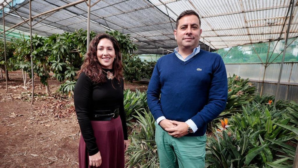 kanaren exportieren klima vorhersage tool sicma canarias