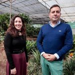 kanaren exportieren klima vorhersage tool sicma canarias