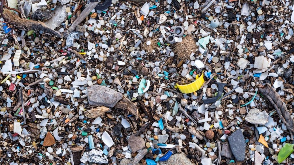 mikroplastik kanaren studie herkunft