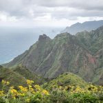seltene schnecke canaridiscus engonatus entdeckung anaga teneriffa