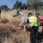 teneriffa waldbrand simulierung uebung mai 2026