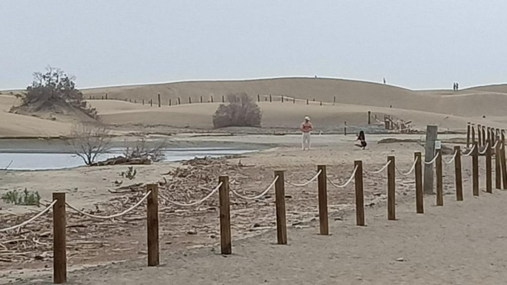 tourist ignorieren naturschutz maspalomas gran canaria