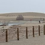 tourist ignorieren naturschutz maspalomas gran canaria