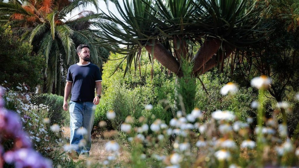 biodiversitaet kanaren victor de leon