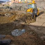 fuenf tonnen algen san cristobal las palmas