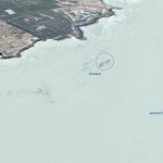 greenwashing kanaren wissenschaft missbrauch underwater gardens