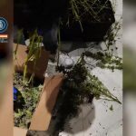 polizei erpressung fuerteventura 40 festnahmen