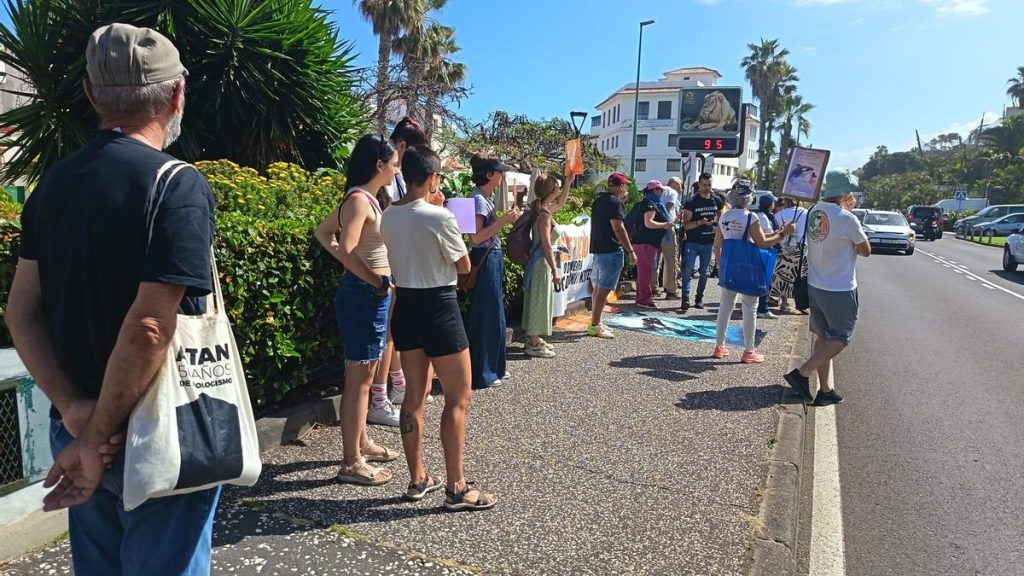 protest gegen loro parque teneriffa delfine