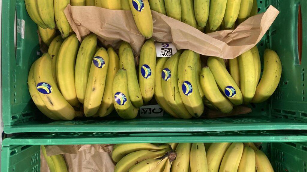 bananenmarkt kanarische inseln 2026 marktanteil sinkt