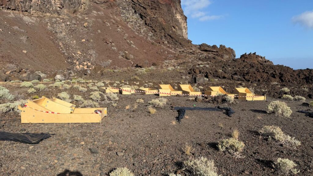 betonliegen el hierro kontroverse tacoron