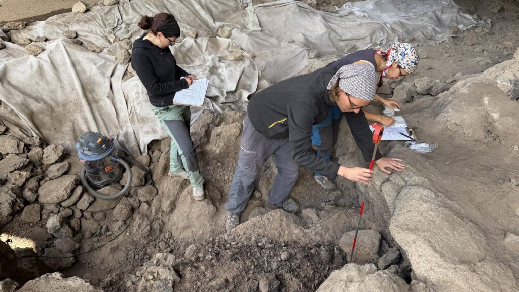essgewohnheiten guanchen kochtechniken archaeologie