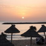 just lio tenerife afterwork camison