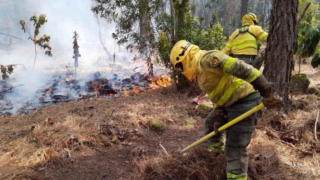 kanaren waldbrandsaison 2026 2600 einsatzkraefte