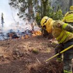 kanaren waldbrandsaison 2026 2600 einsatzkraefte