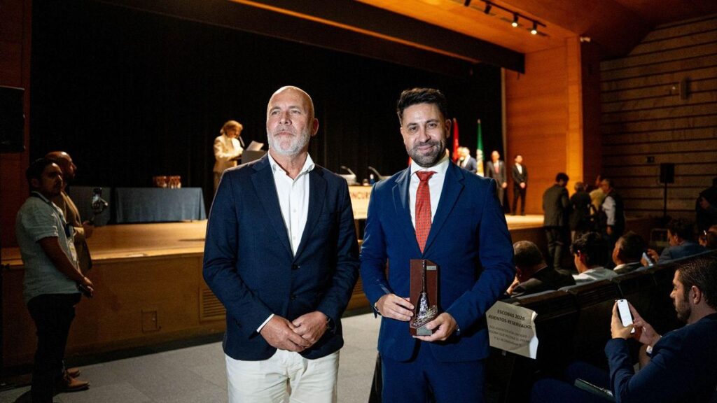 las palmas escoba de platino reinigungspreis