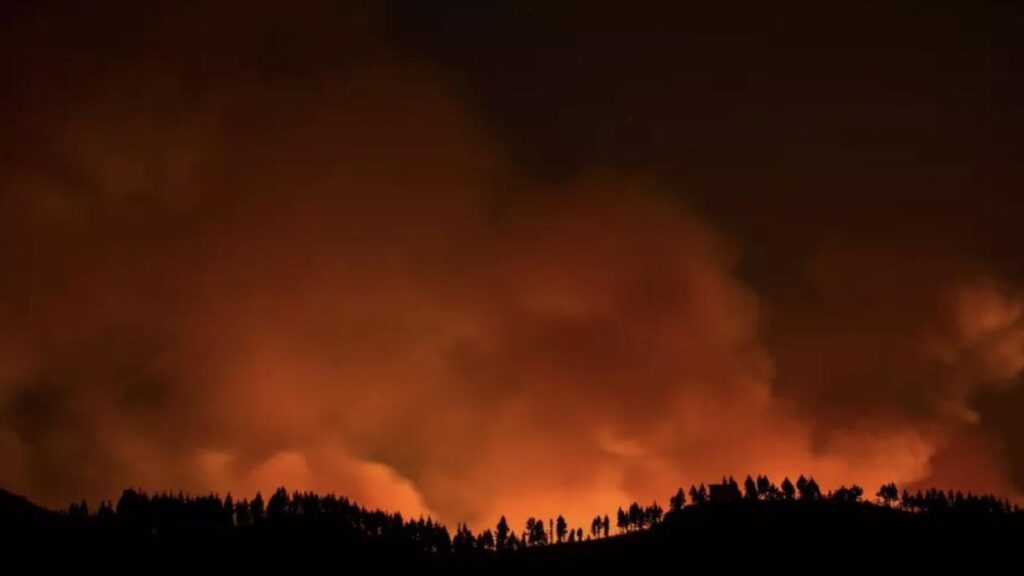mega braende gran canaria studie waldbraende