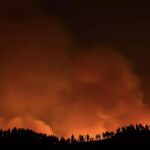 mega braende gran canaria studie waldbraende