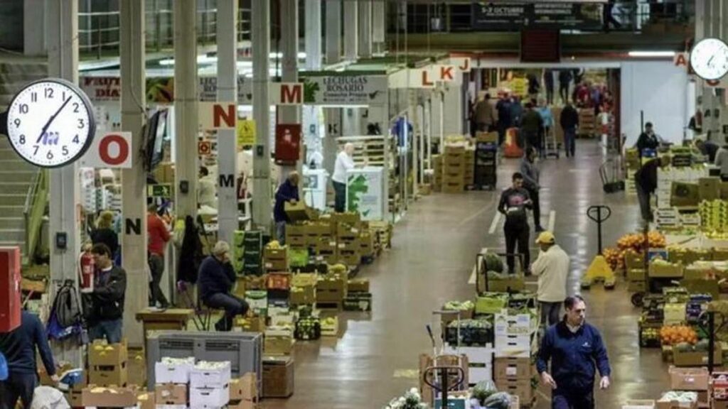 teneriffa hangsanierung mercatenerife tf1