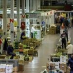 teneriffa hangsanierung mercatenerife tf1