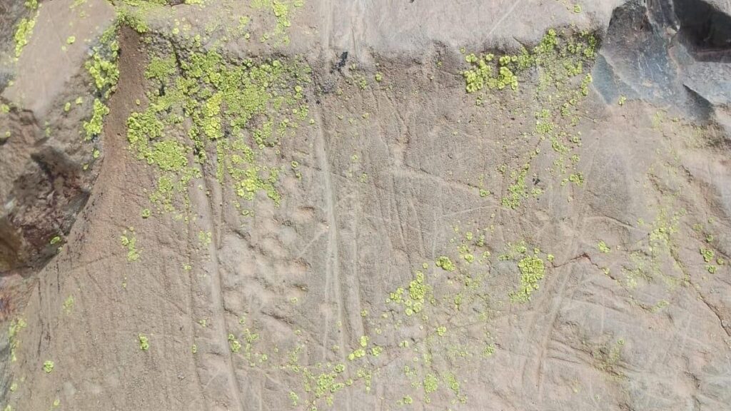 vandalismus graffiti guanches teno buenavista teneriffa