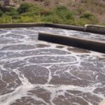 wasserkrise kanarische inseln studie ull