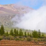 weinbau teneriffa vulkan piedra fluida