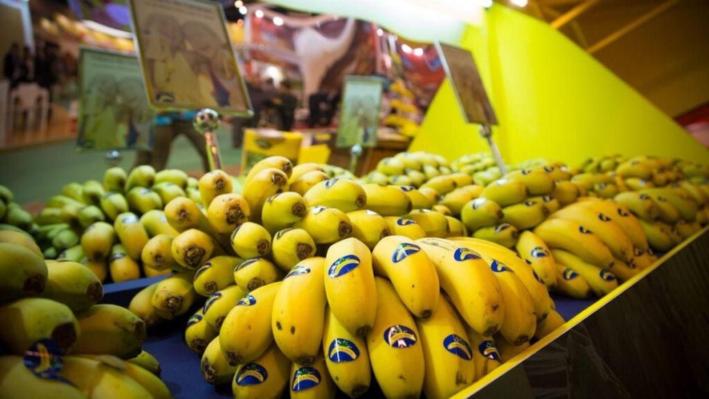 bananenpreis kanarische inseln sommerkrise 2026