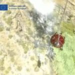 brand masca teneriffa verhaftung