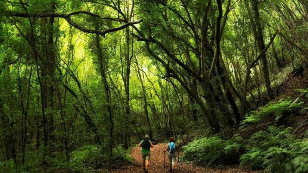 la palma wasserwanderweg marcos cordero wiedereroeffnung