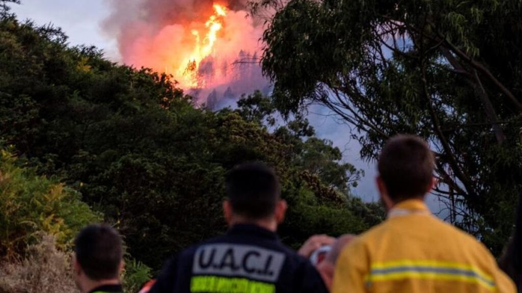 waldbrandalarm infoca gran canaria teneriffa