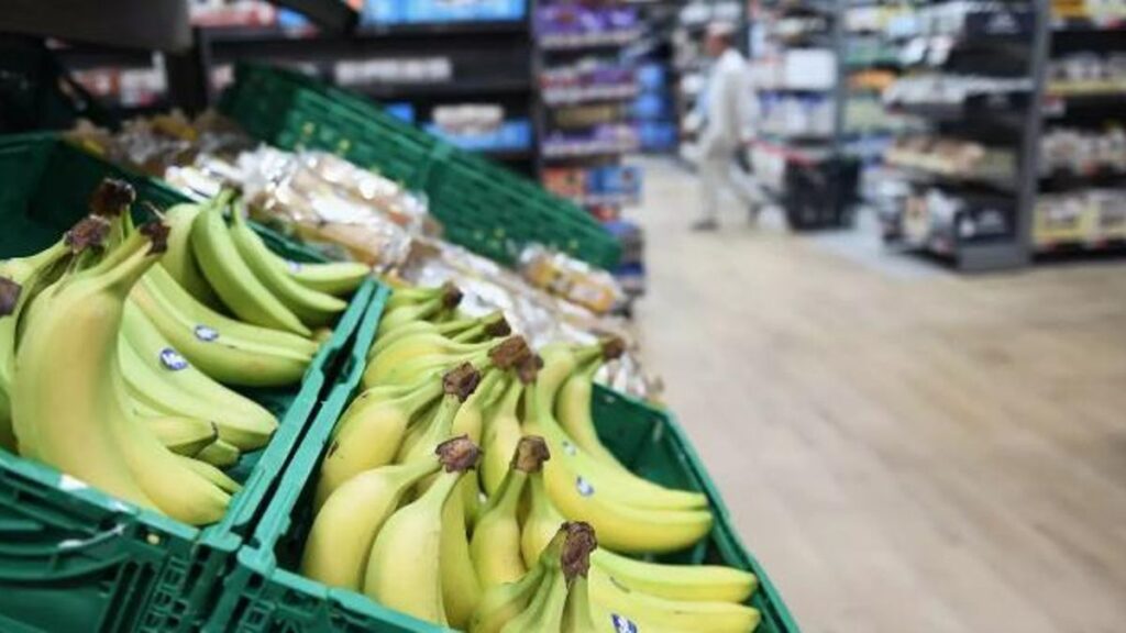 banane verdraengt kanarische banane marktanteil