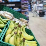 banane verdraengt kanarische banane marktanteil